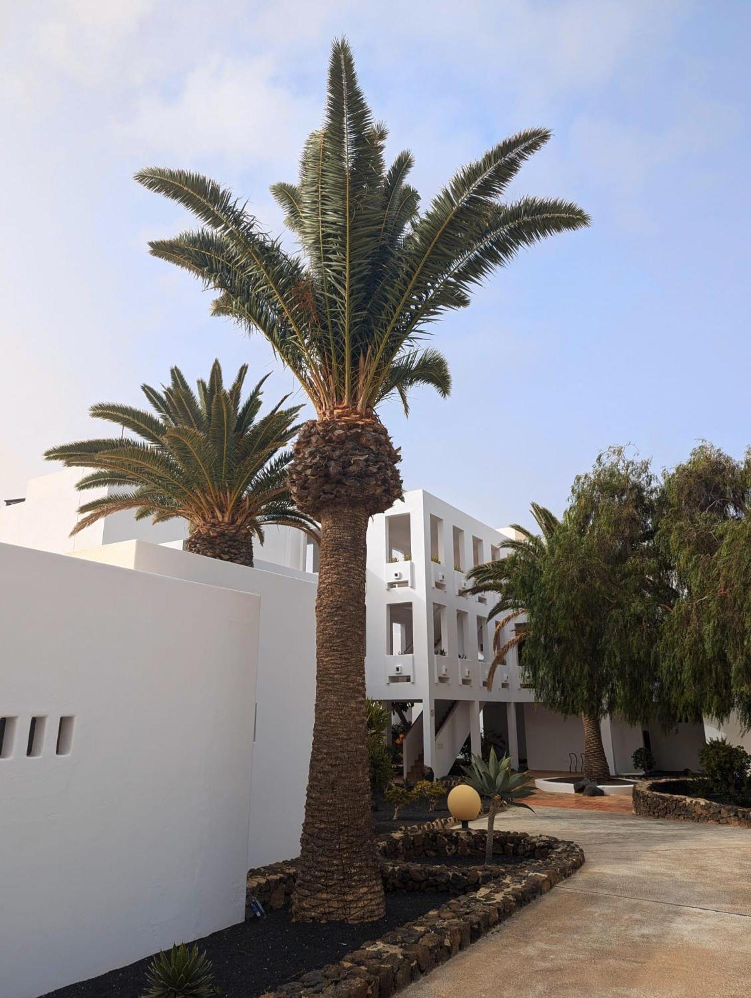 Charming Flat In Los Molinos With Terrace & Pools, Near Playa Bastian Costa Teguise Buitenkant foto